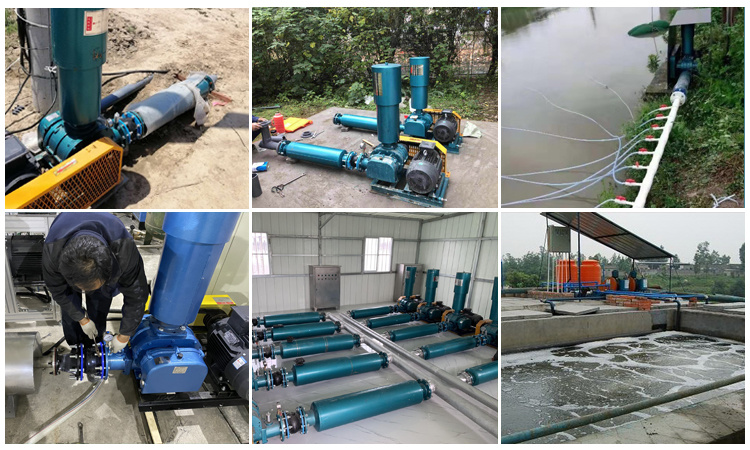 30HP Waste Water Treatment Aeration Blower Industrial Roots Blower