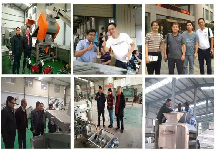 Industrial Citrus Lemon Peeling Machine and Juicer Extractor Machine Widely Used for Tropical Fruit Orange Pulp Making Machine