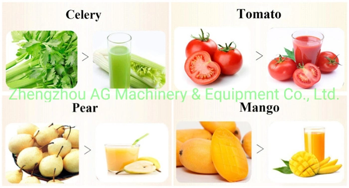 Electric Cold Screw Pressing Fruit and Vegetable Pulping Machine