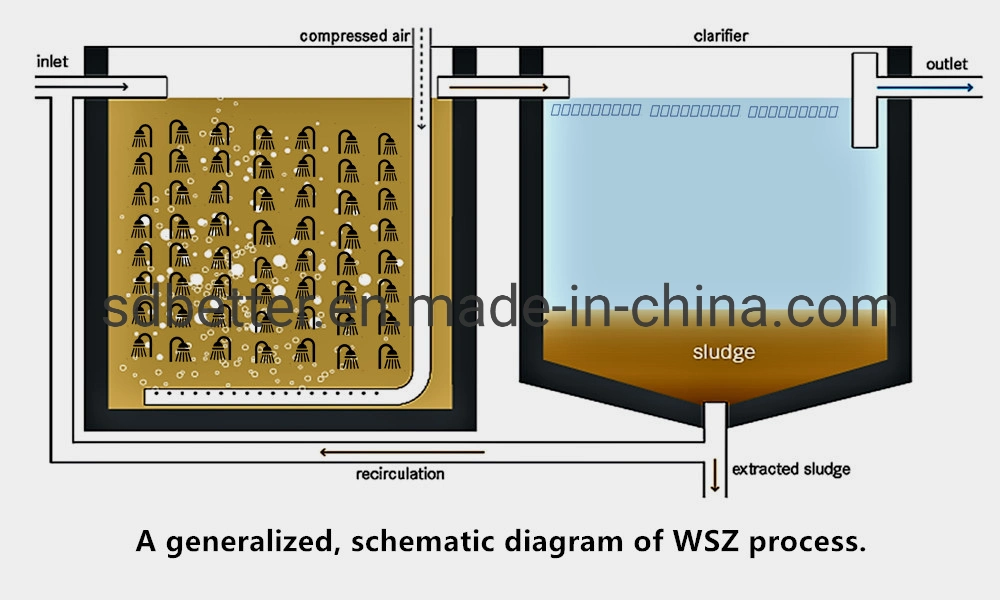 Customized Size Domestic Sewage Treatment Plant Septic Tank Design