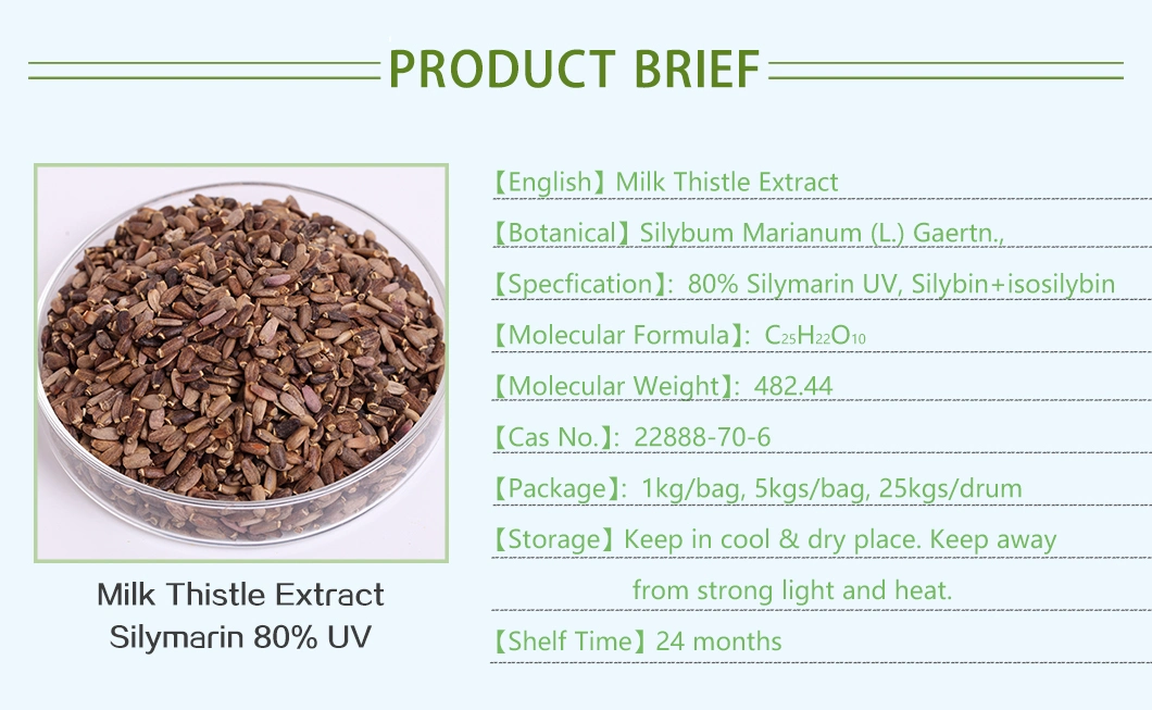 80% UV Milk Thistle Extract Silymarin Plant Extract