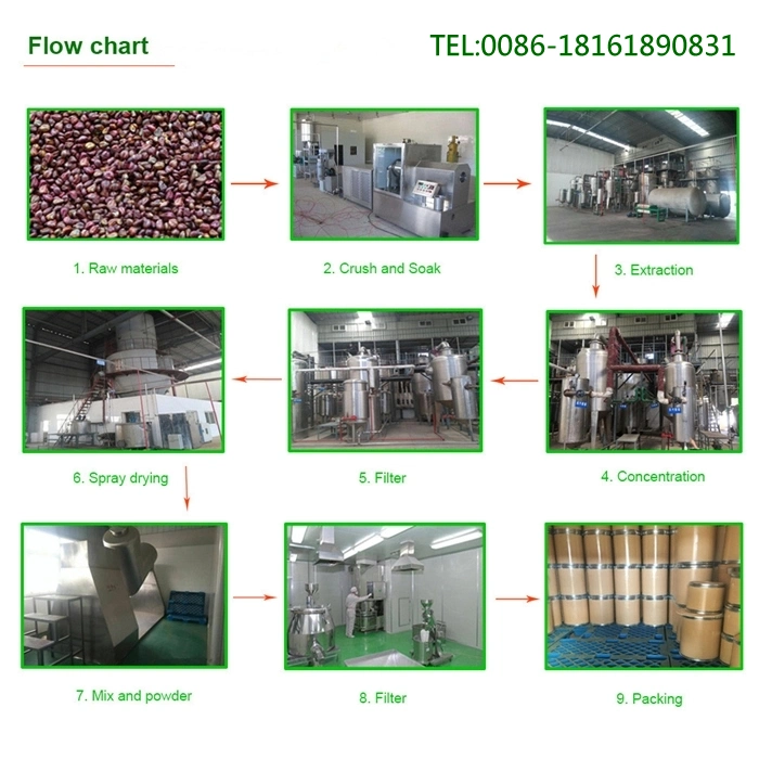 Factory Supply Directly 100% Natural Flavonoid Dandelion Root Extract Flavone