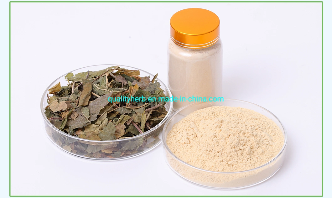 Factory Supply 80% UV Panax Ginseng Extract