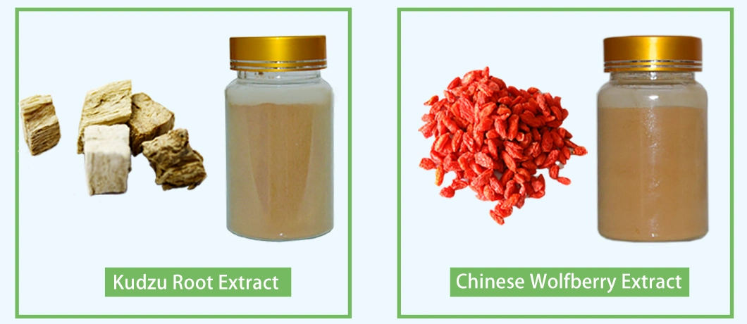 98% Trans-Resveratrol Polygonum Cuspidatum Extract Free Sample