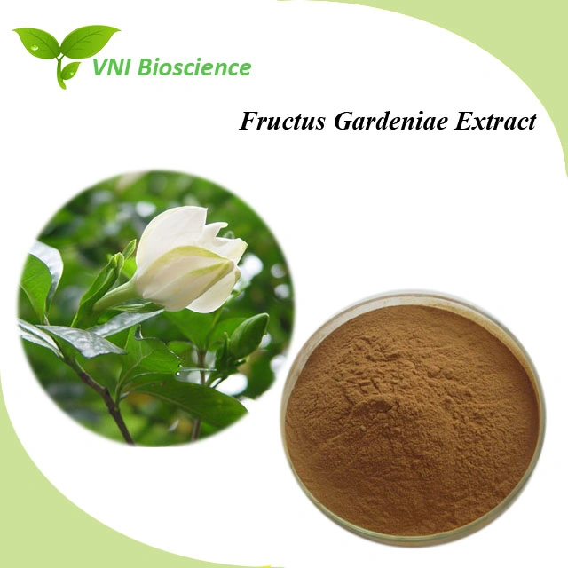 ISO SGS Certified 100% Natural Fructus Gardeniae Extract