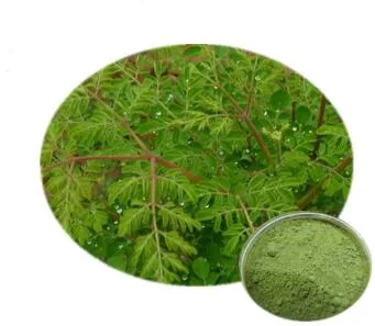 Organic Moringa Oleifera Leaf Extract Powder, Moringa Extract Powder