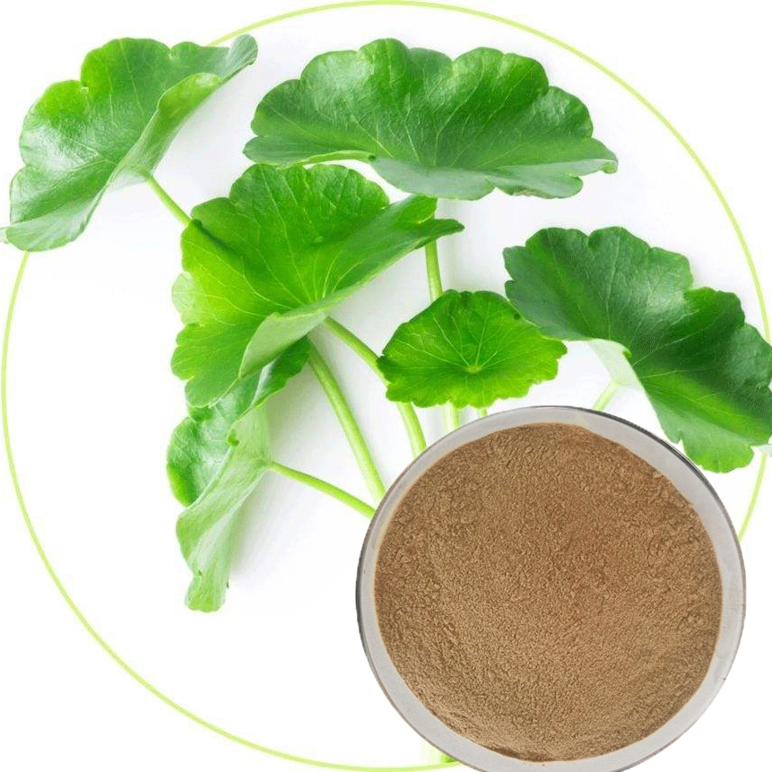 Ready to Ship Centella Asiatica Extract Madecassic Acid 80% CAS 18449-41-7