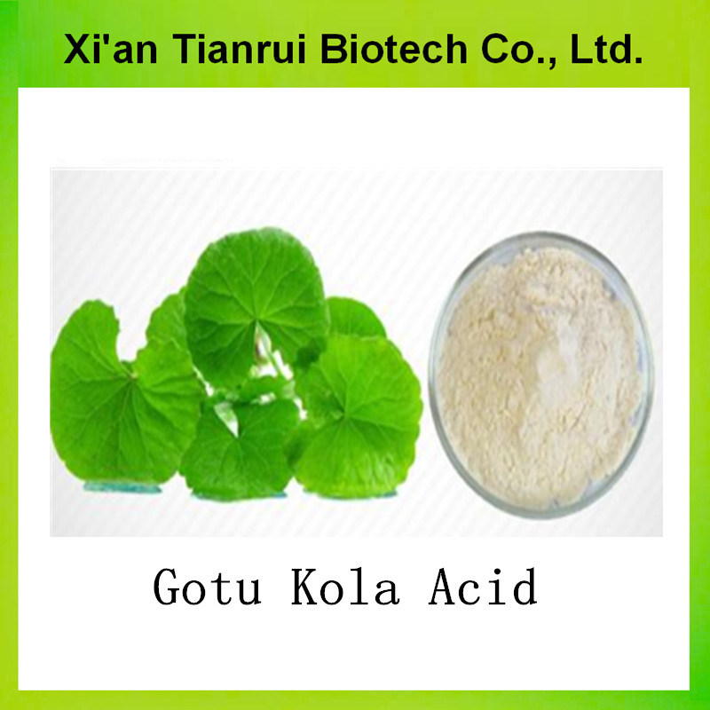 Gotu Kola Herb Extract Powder Asiartic Acid and Madecassic Acid