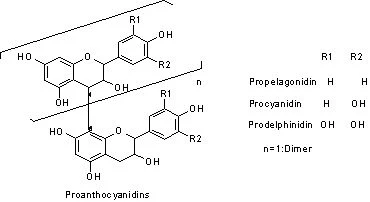 95% Proanthocyanidins (OPC) Grape Seed Extract for Functional Food