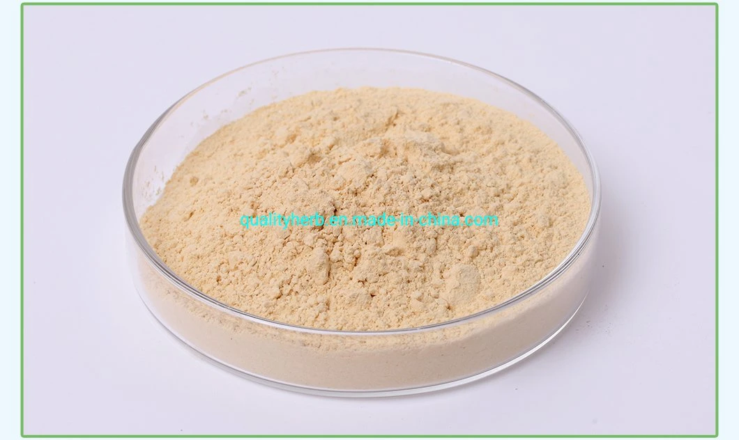 Factory Supply 80% UV Panax Ginseng Extract