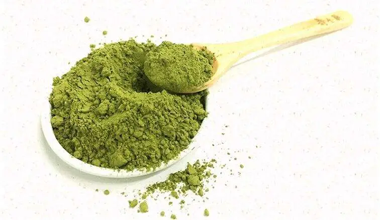 100% Pure Natural Organic Matcha Extract Green Tea Extract with Free Sample