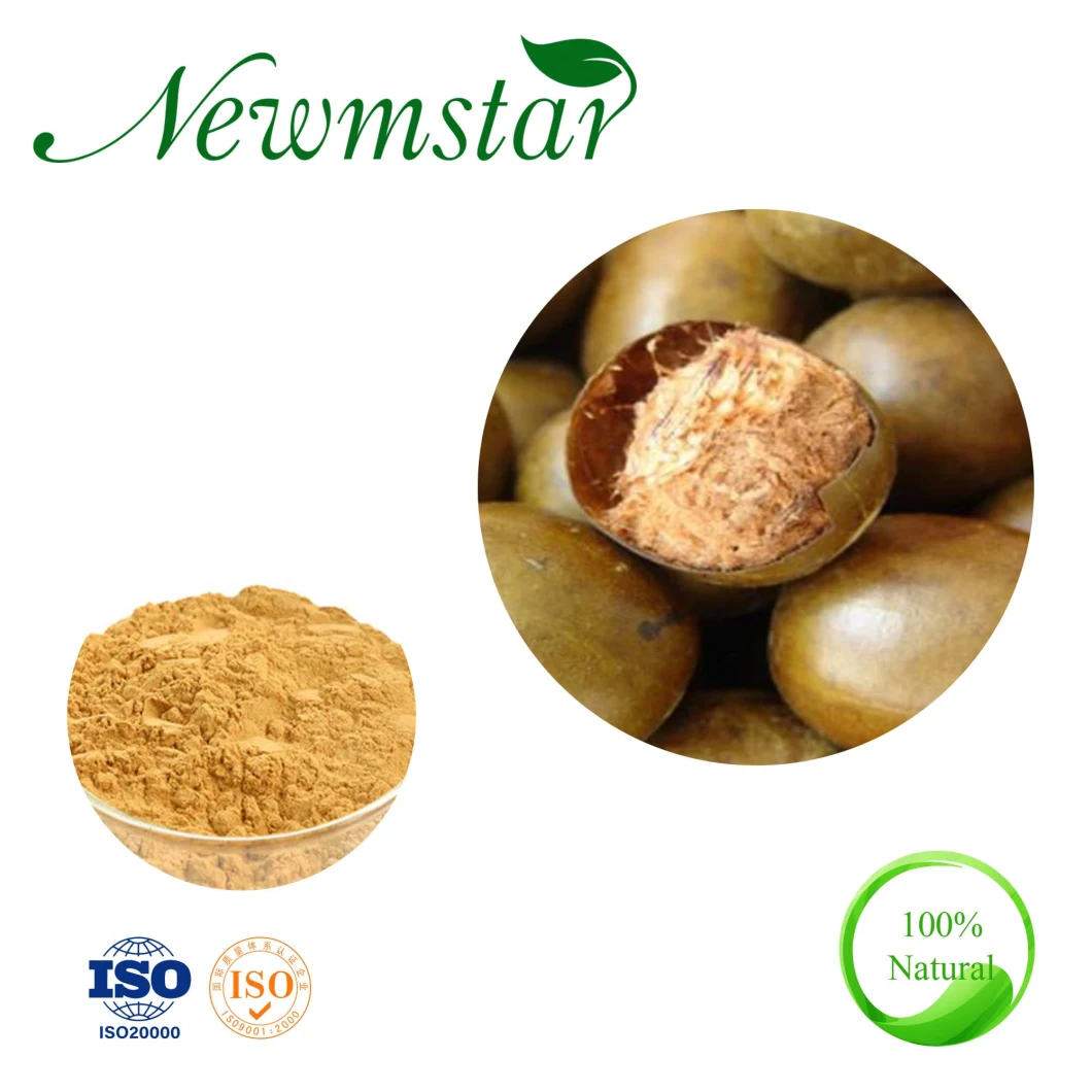 Factory Supply Fructus Momordicae Extract Momordica Grosvenori Extract Mogroside Bitter Gourd Extract as Sweetner