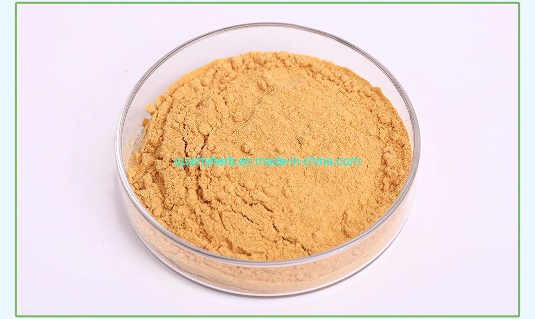 80% UV Milk Thistle Extract Silymarin Plant Extract