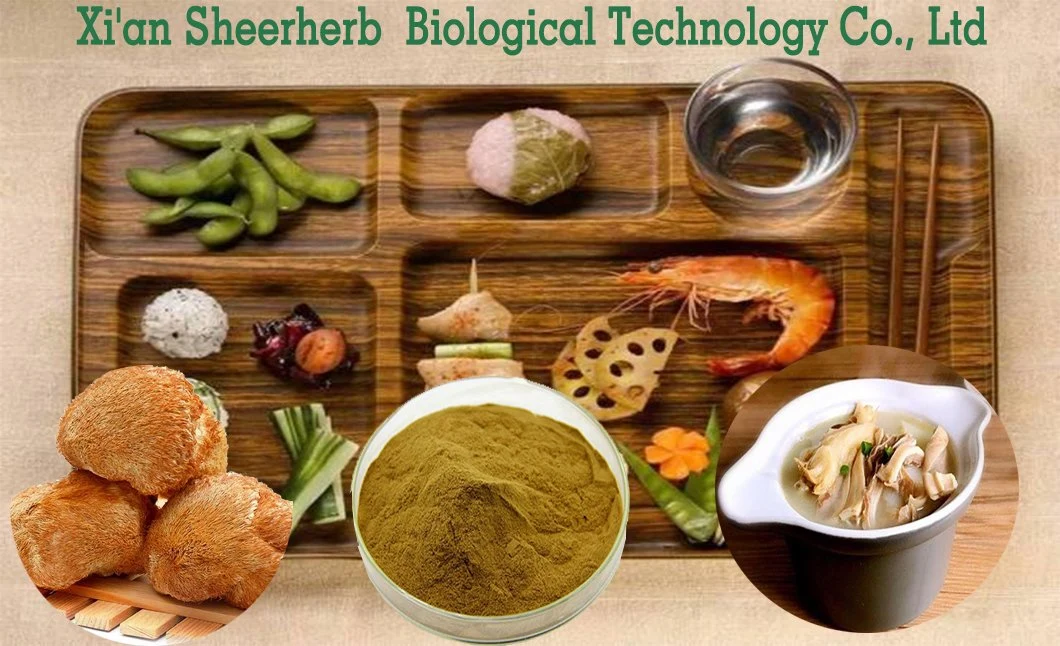 Natural Plant Extract Organic Mushroom Extract Extract for Boosting Immune System Herb Herbal Mushroom Extract