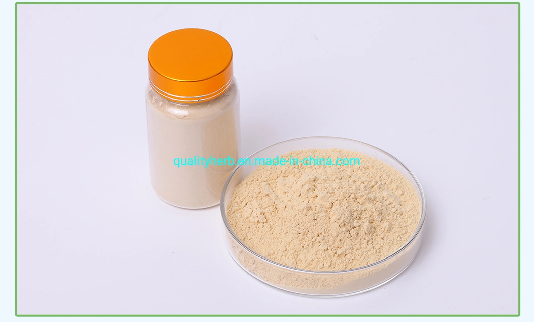 Factory Supply 80% UV Panax Ginseng Extract