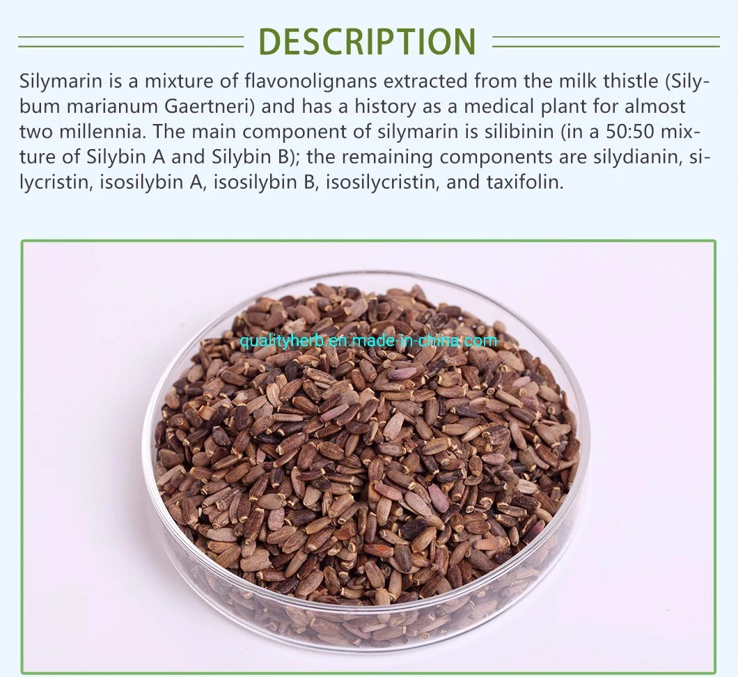 80% UV Milk Thistle Extract Silymarin Plant Extract