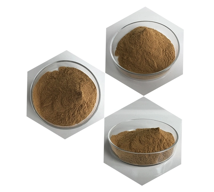 Best Price Maca Root Extract Maca Root Powder