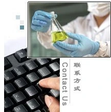 Raw Material Herb Extract Gynostemma Pentaphyllum Extract Gypenosides 80% 98%