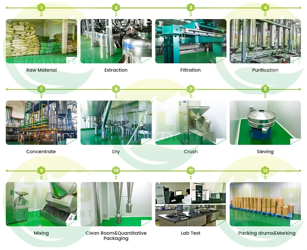 SGS Certificatied Dandelion Extract, Dandelion Root Extract Flavones 5%