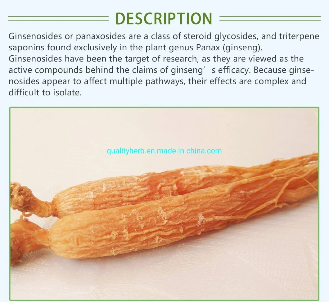 Factory Supply 80% UV Panax Ginseng Extract