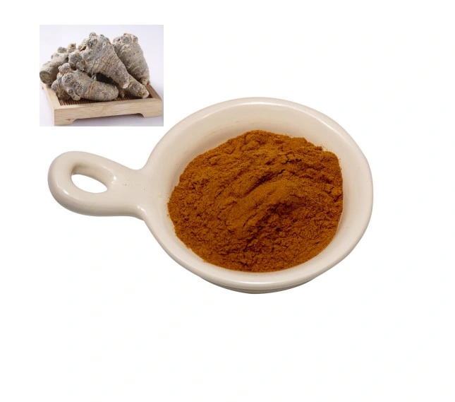 Sanchi Leaf Extract / Panax Notoginseng Saponins Powder /Notoginseng Leaf Extract