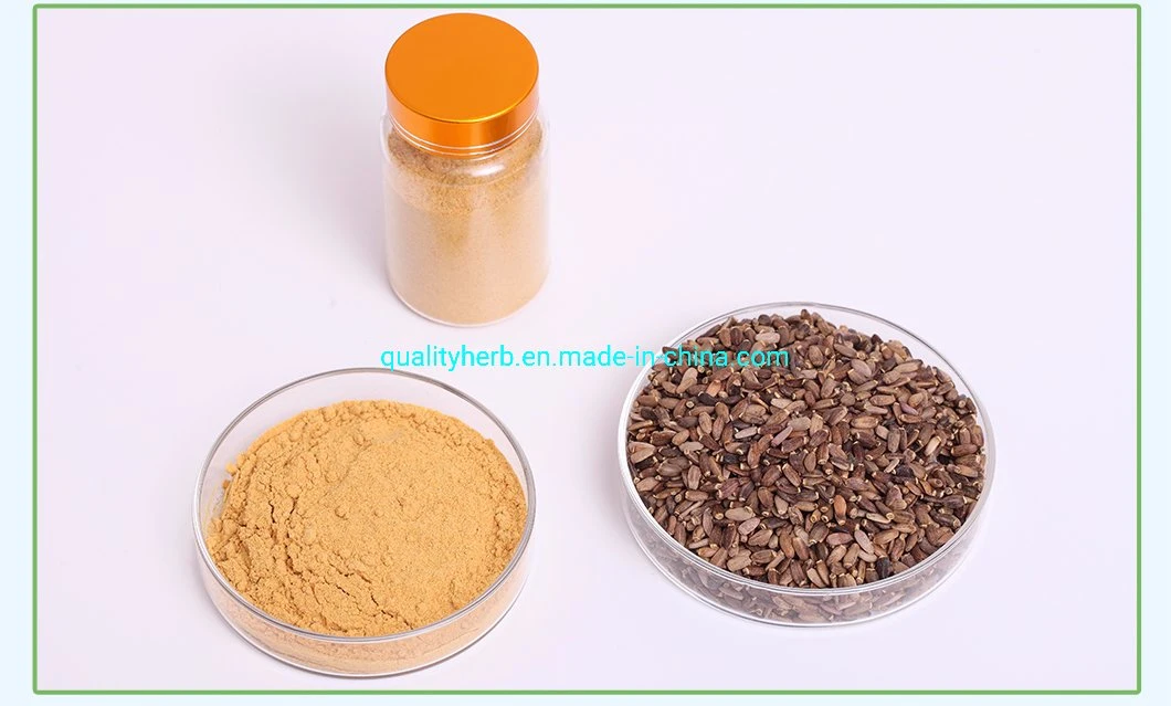 80% UV Milk Thistle Extract Silymarin Plant Extract