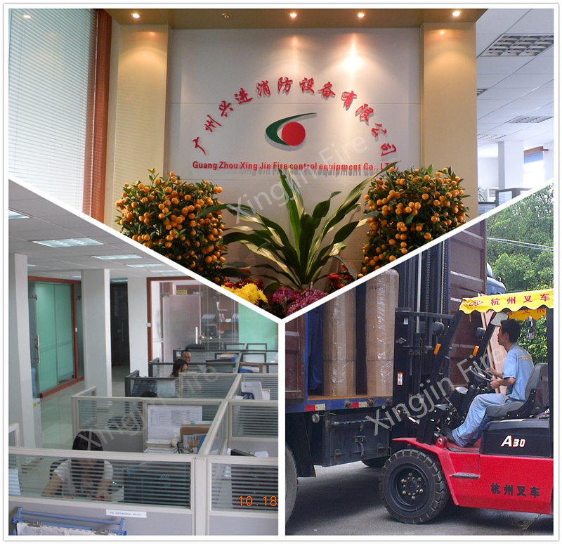Automatic Fire Extinguishing System FM200 Gas Fire Extinguishers Supplier