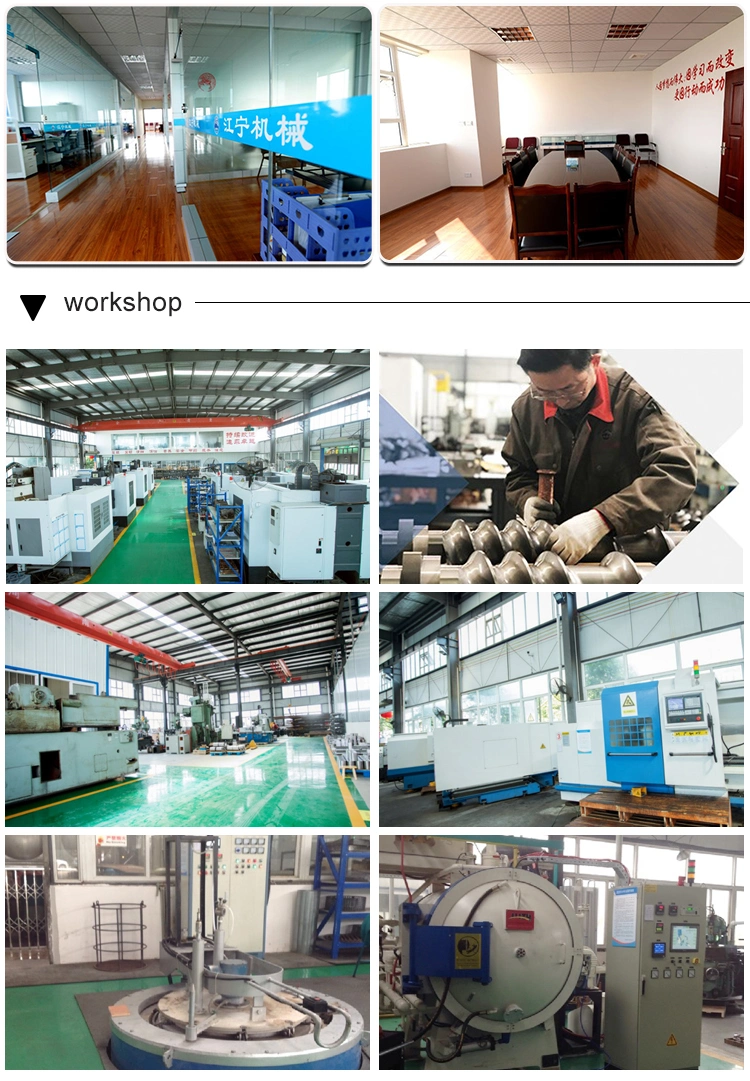 Screw and Barrel for Coperion Plastic Twin Screw Extruder Machine