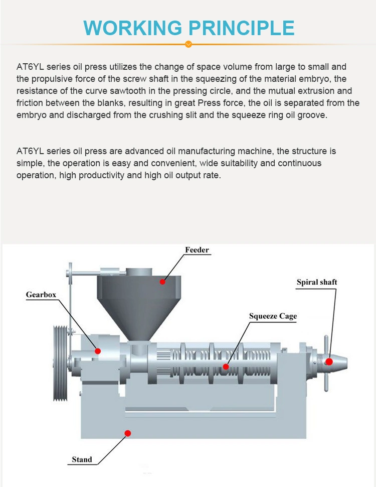 Cold Press Seeds Oil Pressing Machine Sesame Seeds Oil Press Plant