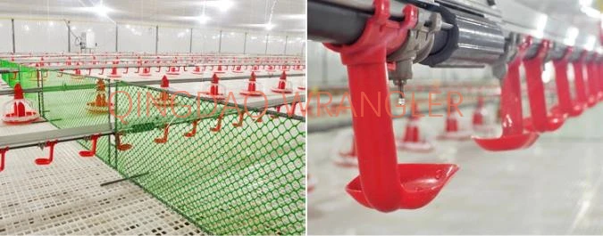 Chicken Feeder Line Chicken Automatic Feeding System Feeding Pan Line