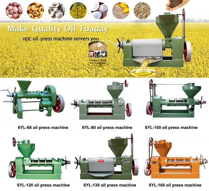 Cold Press Seeds Oil Pressing Machine Sesame Seeds Oil Press Plant