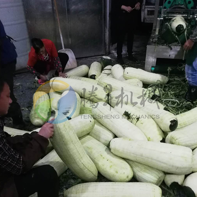 Large Melon Peeling Equipment Winter Melon Peeling Machine Automation Peeling Machine (TS-P138)