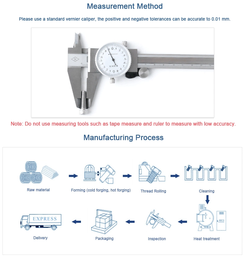 Manufacturer Supply Stainless Steel 316L Expansion Anchor Bolt and Nut Sleeve Anchor Bolts for Building