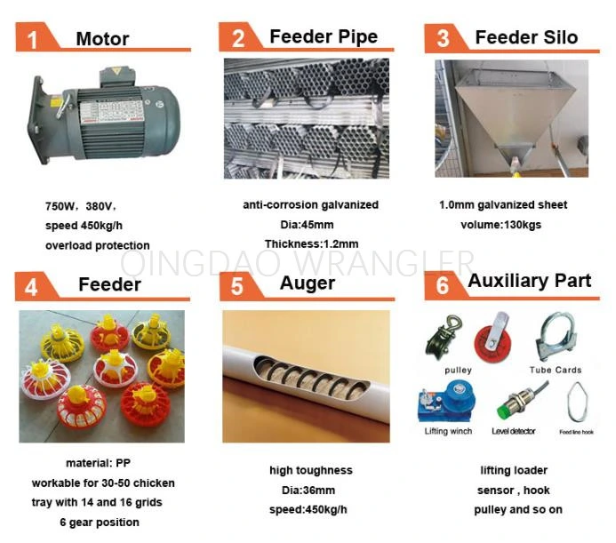 Chicken Feeder Line Chicken Automatic Feeding System Feeding Pan Line