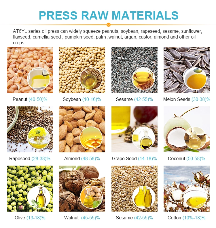 Cold Press Seeds Oil Pressing Machine Sesame Seeds Oil Press Plant