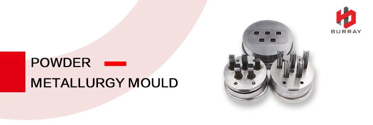 Metallurgy Mould Carbide Mold Powder Tungsten Steel Cold Extrusion Die