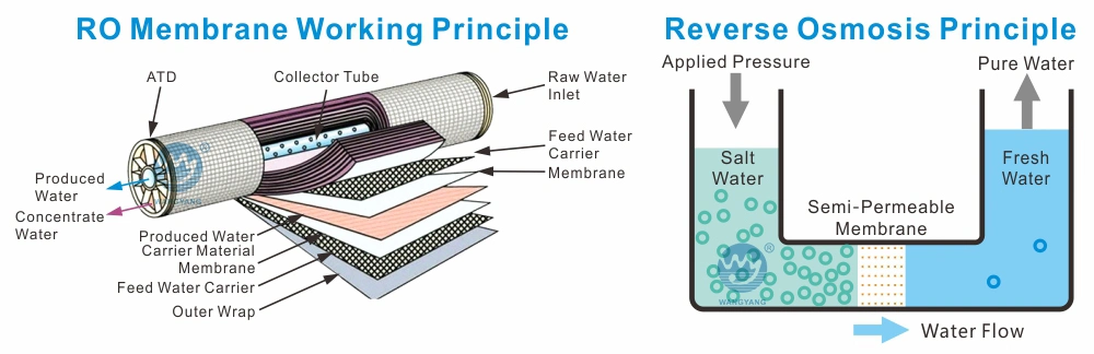 RO 10tpd Desalination RO Plant Price with Water Softener in Water Treatment From China Factory