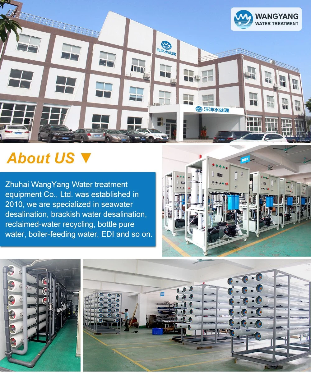 RO 10tpd Desalination RO Plant Price with Water Softener in Water Treatment From China Factory