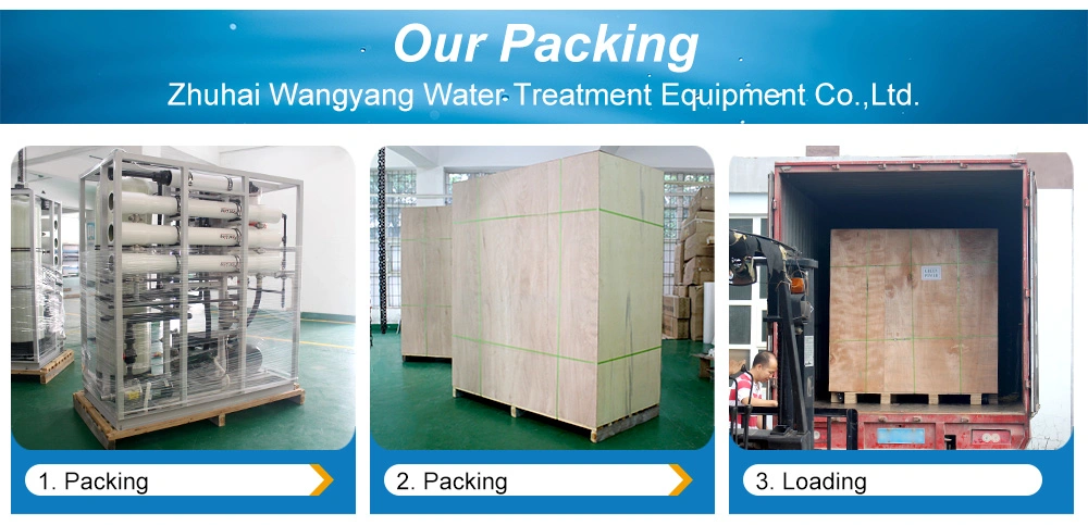 RO 10tpd Desalination RO Plant Price with Water Softener in Water Treatment From China Factory