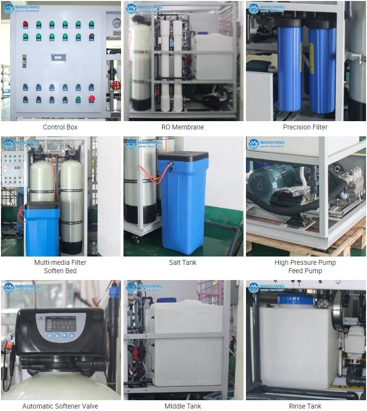 RO 10tpd Desalination RO Plant Price with Water Softener in Water Treatment From China Factory