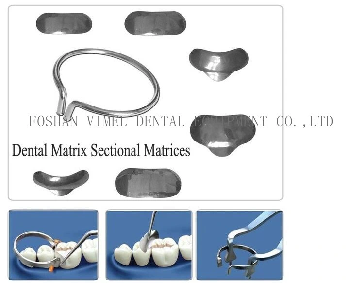 Dental Sectional Contoured Matrices Matrix Ring with Wedges Silicon Rubber Elastic Wedges