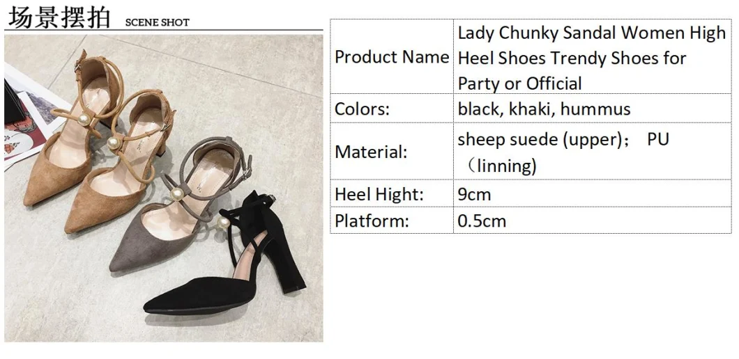 Lady Chunky Sandal Women High Heel Shoes Trendy Shoes for Party or Official