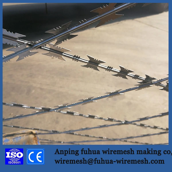 Welded Concertina Razor Barbed Mesh Fence Net