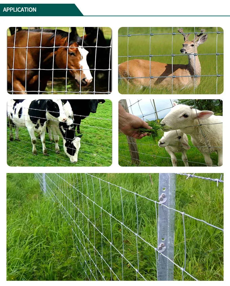 High Tensile Galvanized Farm Fence / Cattle Wire Mesh / Field Fencing