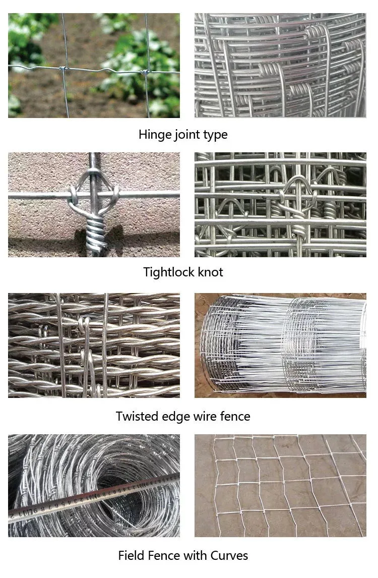 High Tensile Galvanized Farm Fence / Cattle Wire Mesh / Field Fencing