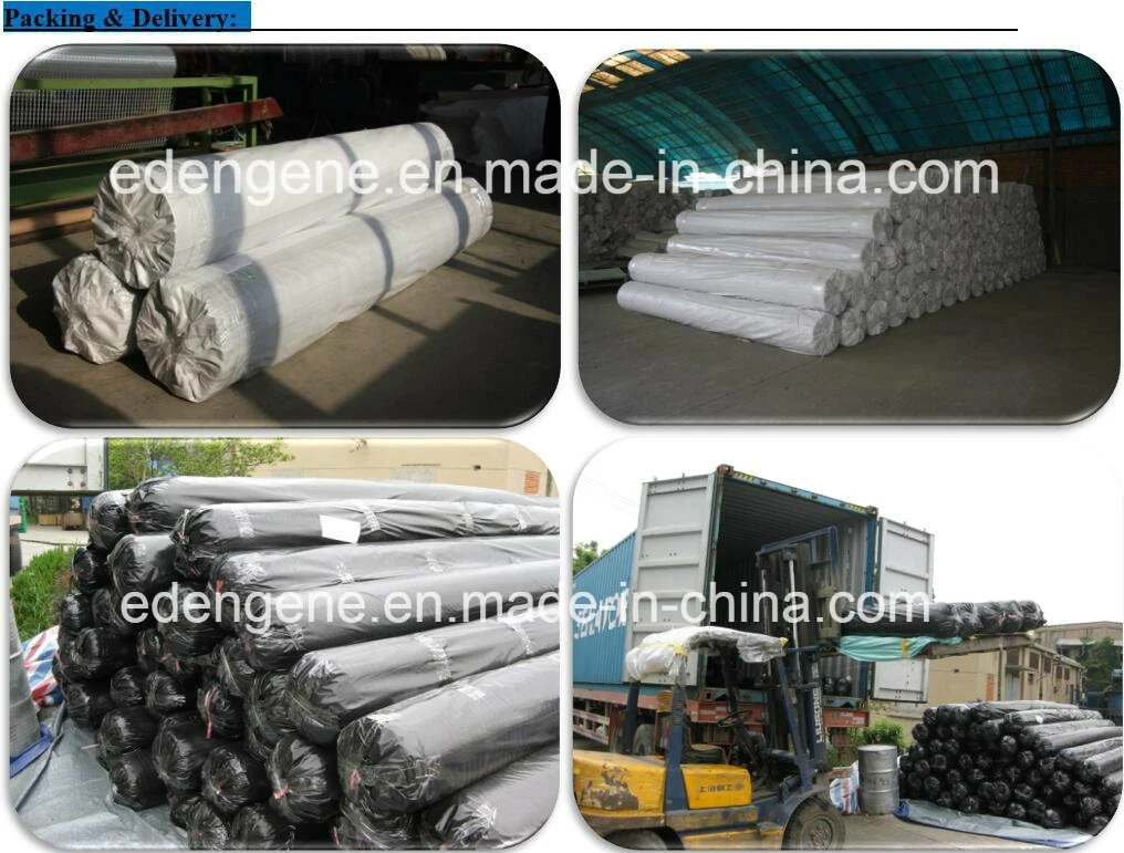 Coal Mine Mining Geogrid / Mining Polyester Geogrid / Mining Mesh for Supporting