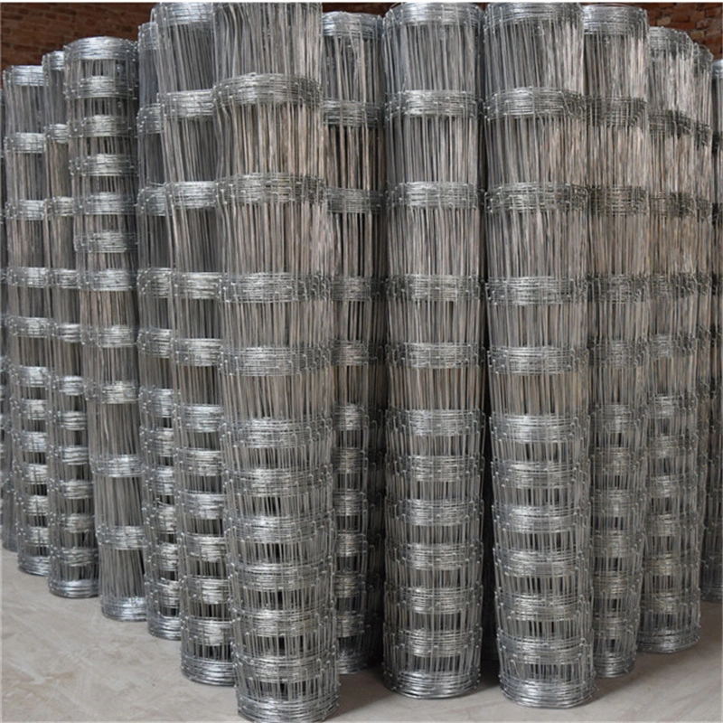 High Tensile Galvanized Farm Fence / Cattle Wire Mesh / Field Fencing