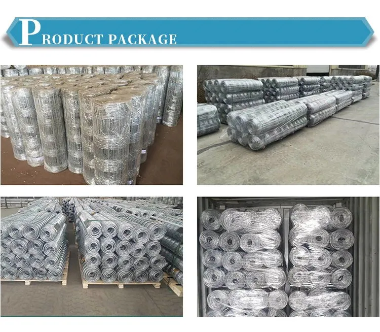 High Tensile Galvanized Farm Fence / Cattle Wire Mesh / Field Fencing