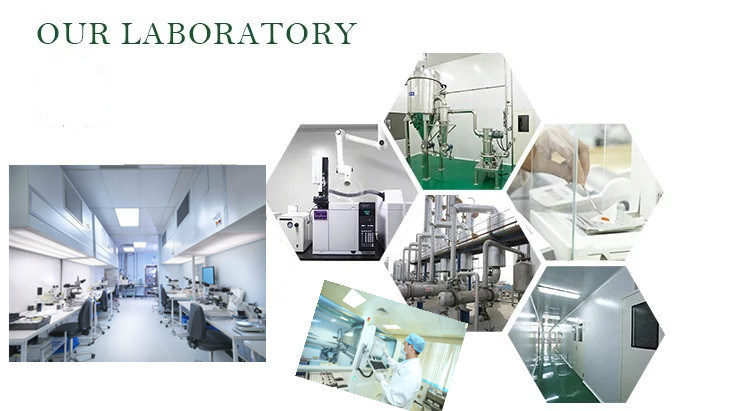 Popular Sale Pharmaceutical Intermediate Carbazole / 9h-Carbazole / Diphenylenimine/ 86748 with 100% Custom Pass