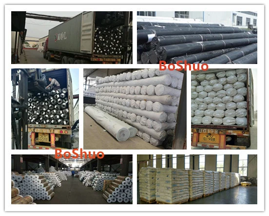 Needle Punched Nonwoven Geotextile for Earthwork Project